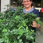 Winner of the DCA climate award, Chiit Piseth