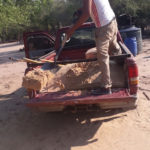 Working to secure access to water in drought-stricken Argentina.